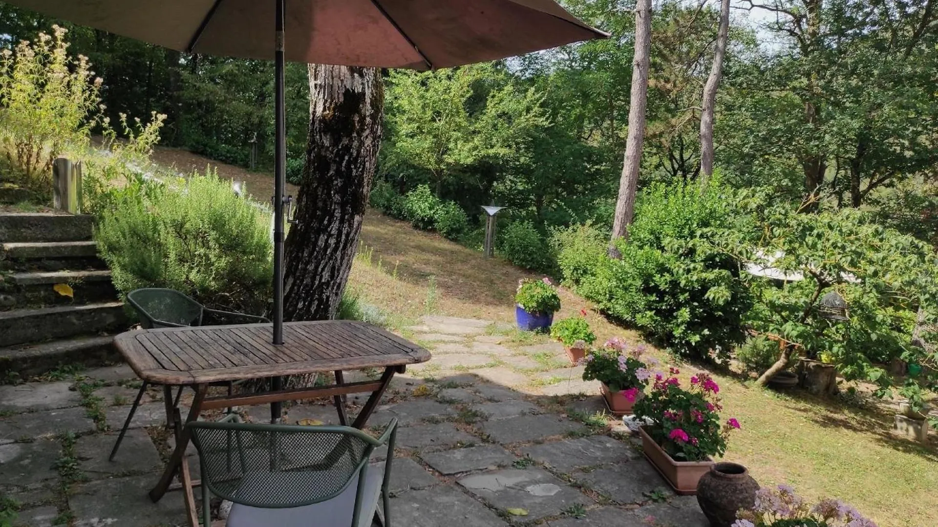 Apartament Porcaticcio, Ferienhaus Im Wald Mit Pool Casola Valsenio