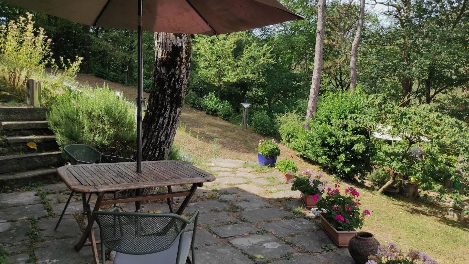 Porcaticcio, Ferienhaus Im Wald Mit Pool Apartment Casola Valsenio 0*,