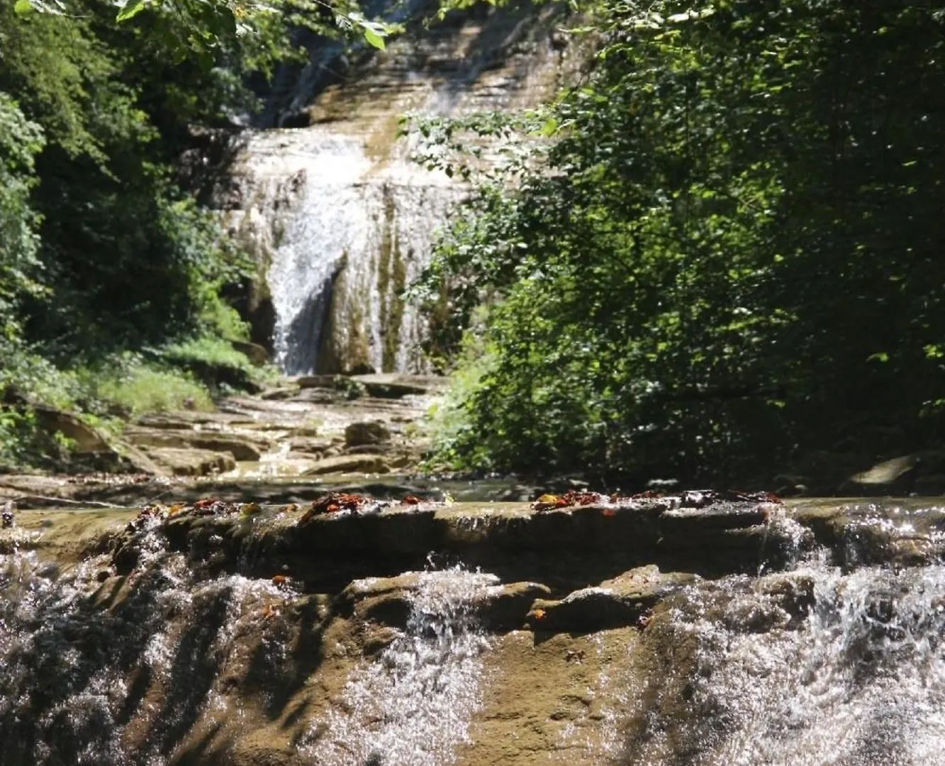 Porcaticcio, Ferienhaus Im Wald Mit Pool Apartment Casola Valsenio